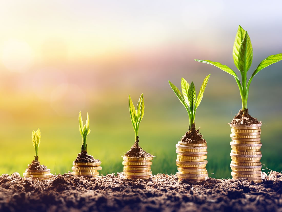 Optimierung und Maximierung von Erträgen © Shutterstock