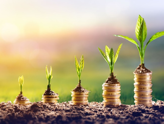 Optimierung und Maximierung von Erträgen © Shutterstock